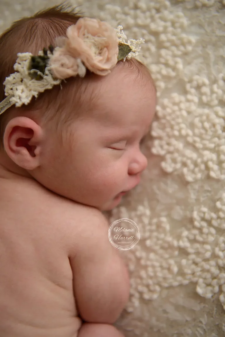 sleeping baby with rose headband newborn photography